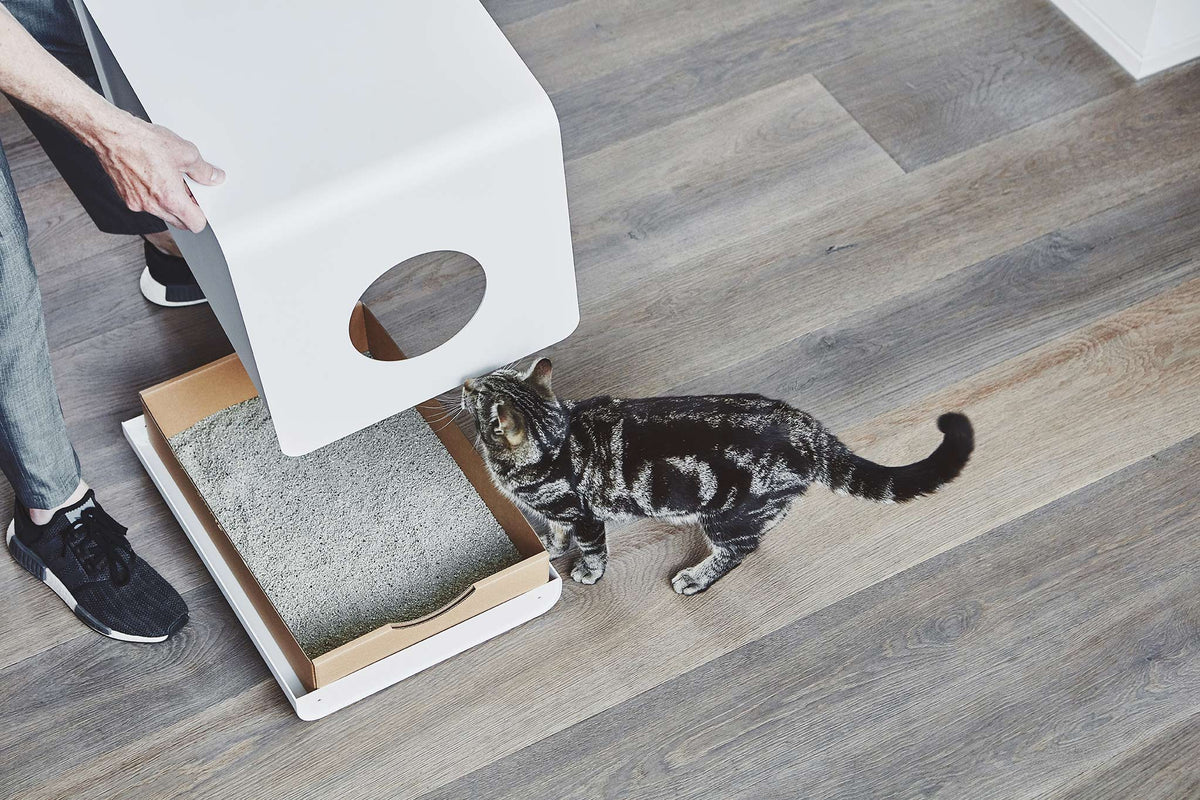 Bauhaus Inspired Sito Litter Box - MiaCara