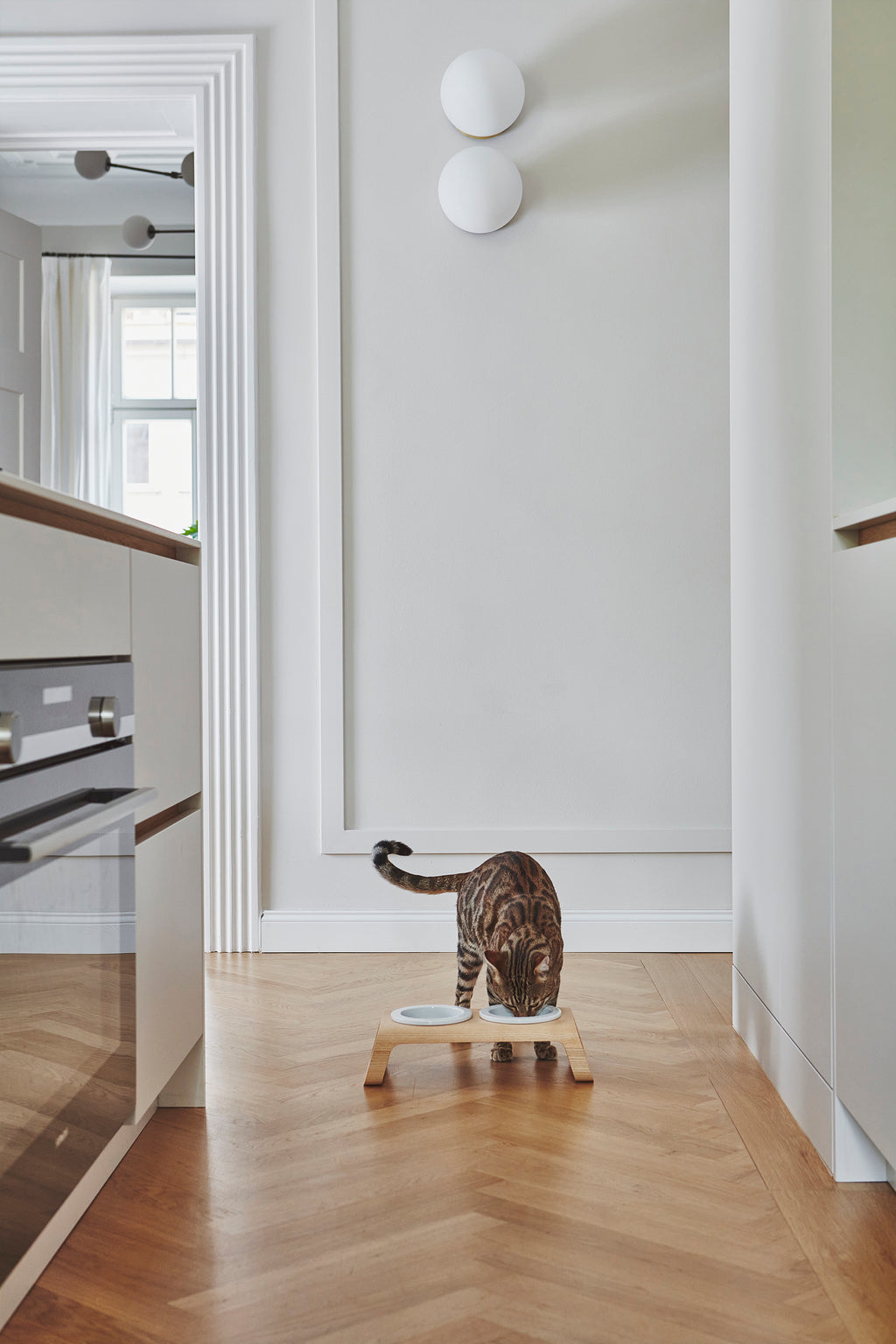 Desco Cat Feeder - MiaCara
