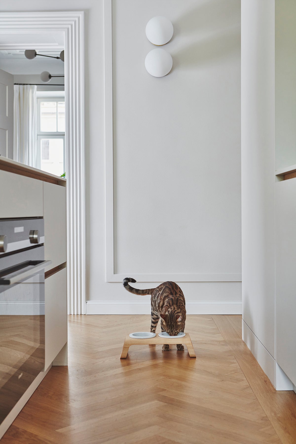 Desco Cat Feeder - MiaCara