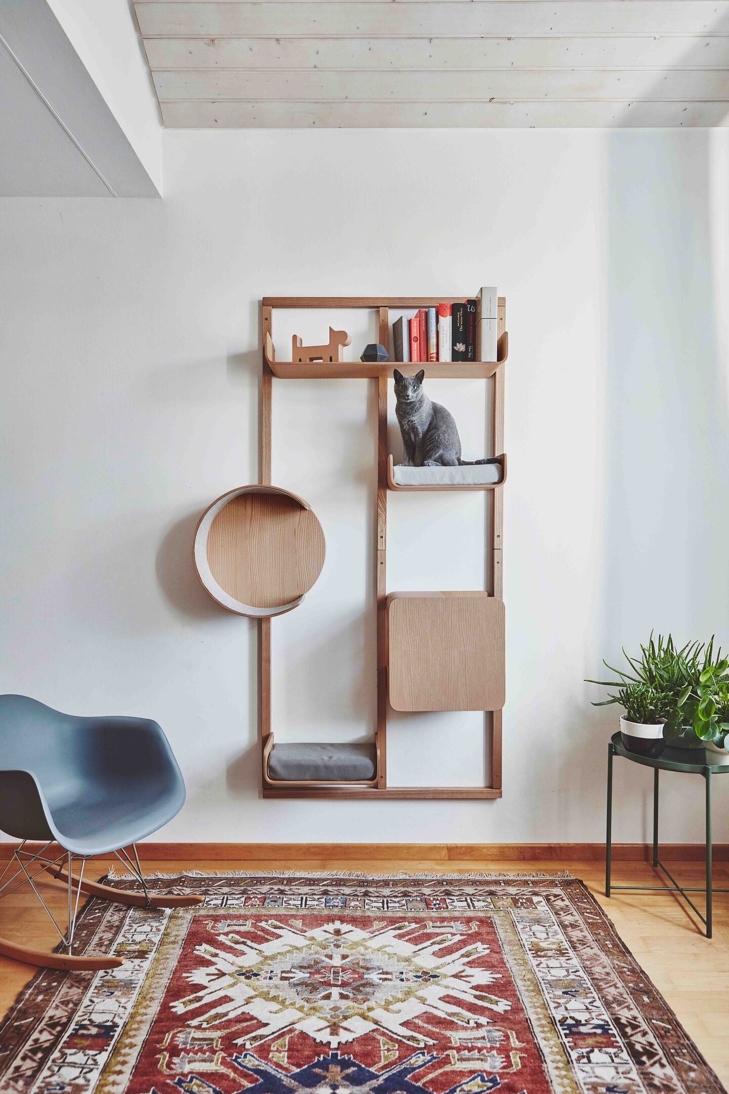 Alto Wall Climber - MiaCara