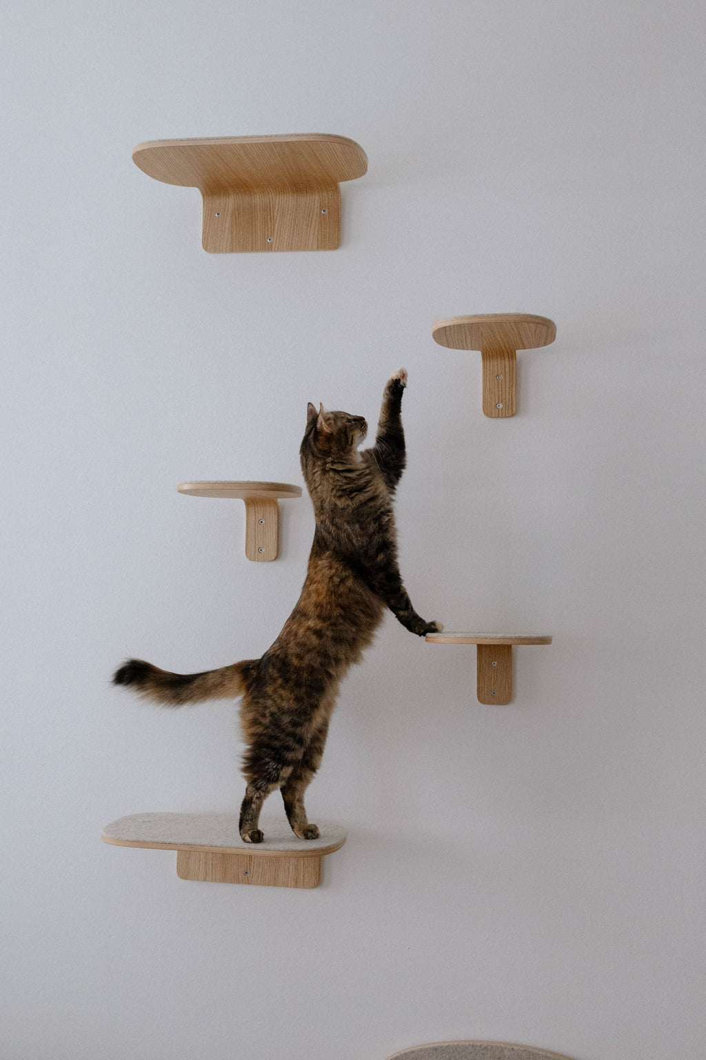 Parete Climbing Step  - MiaCara