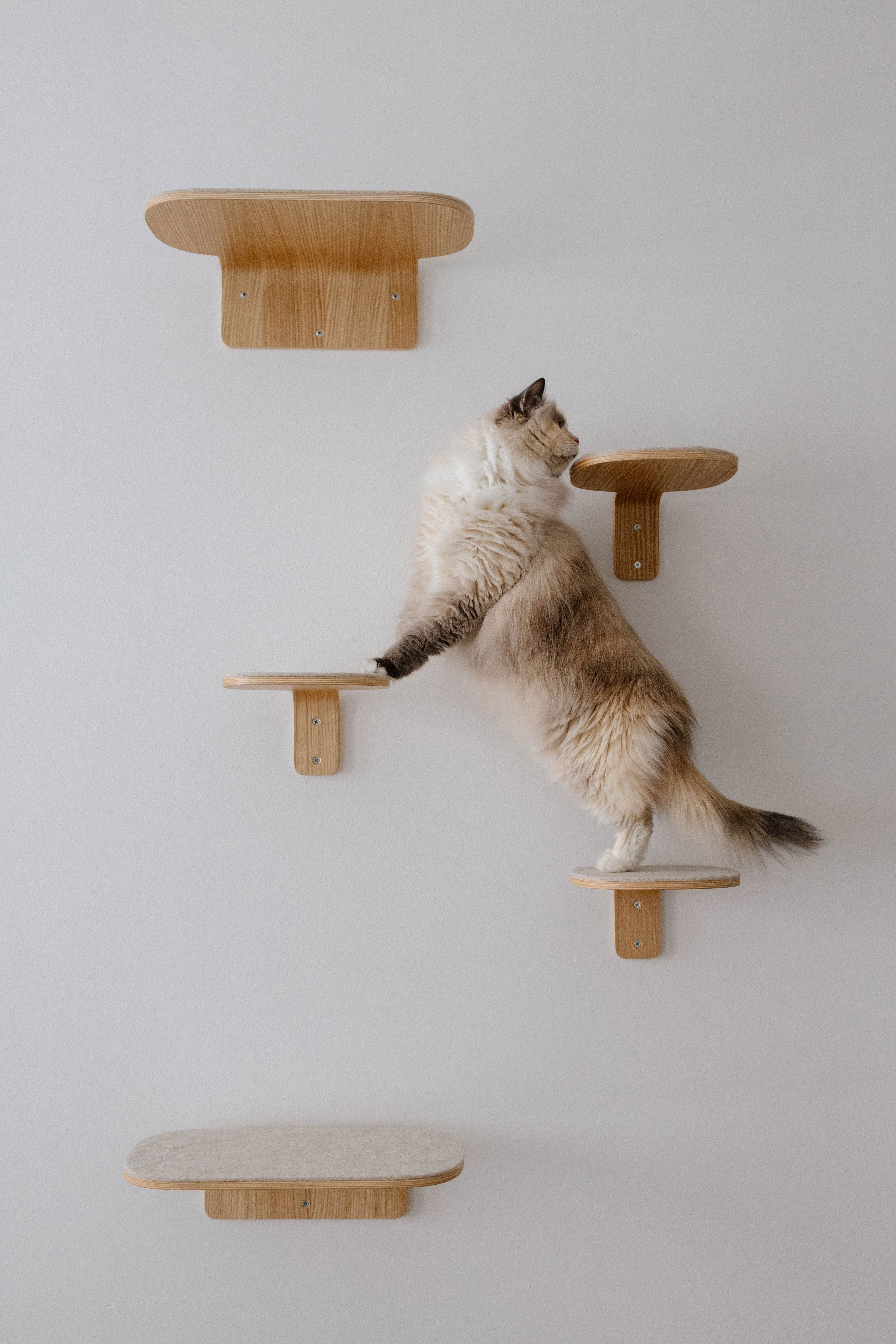 Parete Climbing Step  - MiaCara
