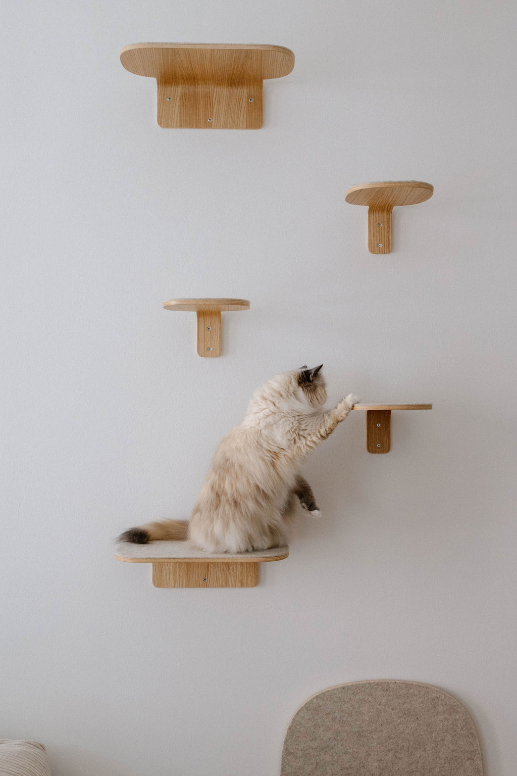 Parete Climbing Step  - MiaCara