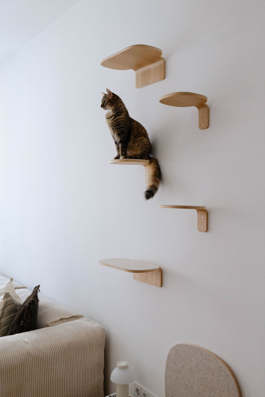 Parete Climbing Step  - MiaCara