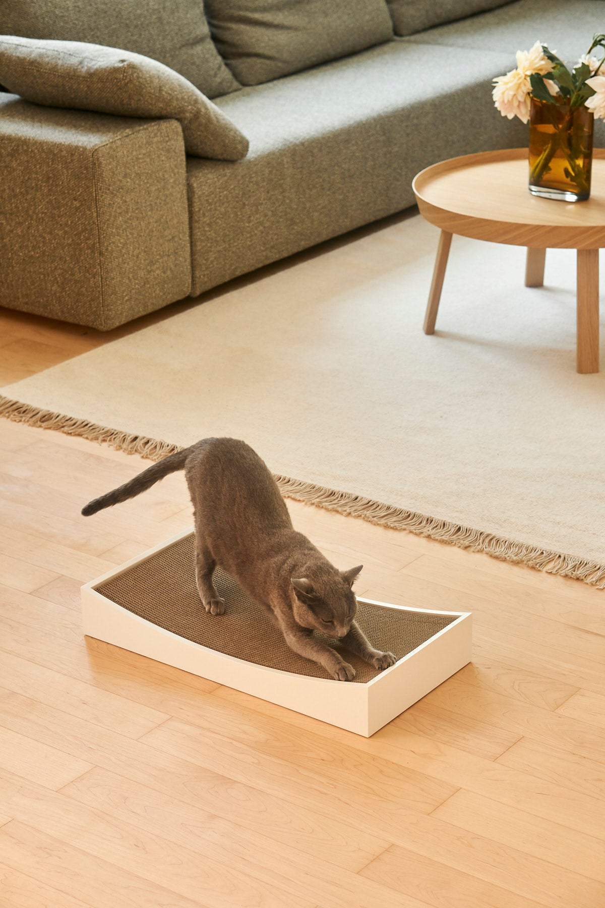 Gratta Scratching Board - MiaCara
