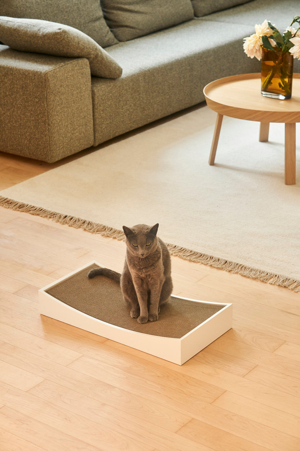 Gratta Scratching Board - MiaCara