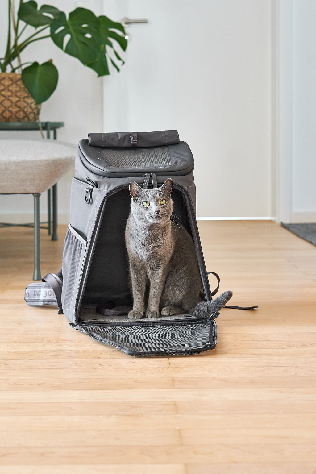 Zaino Cat Backpack - MiaCara