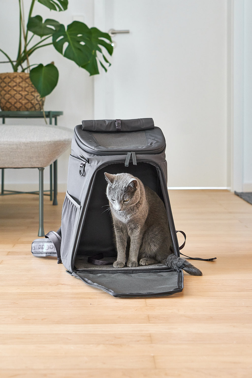 Zaino Cat Backpack - MiaCara