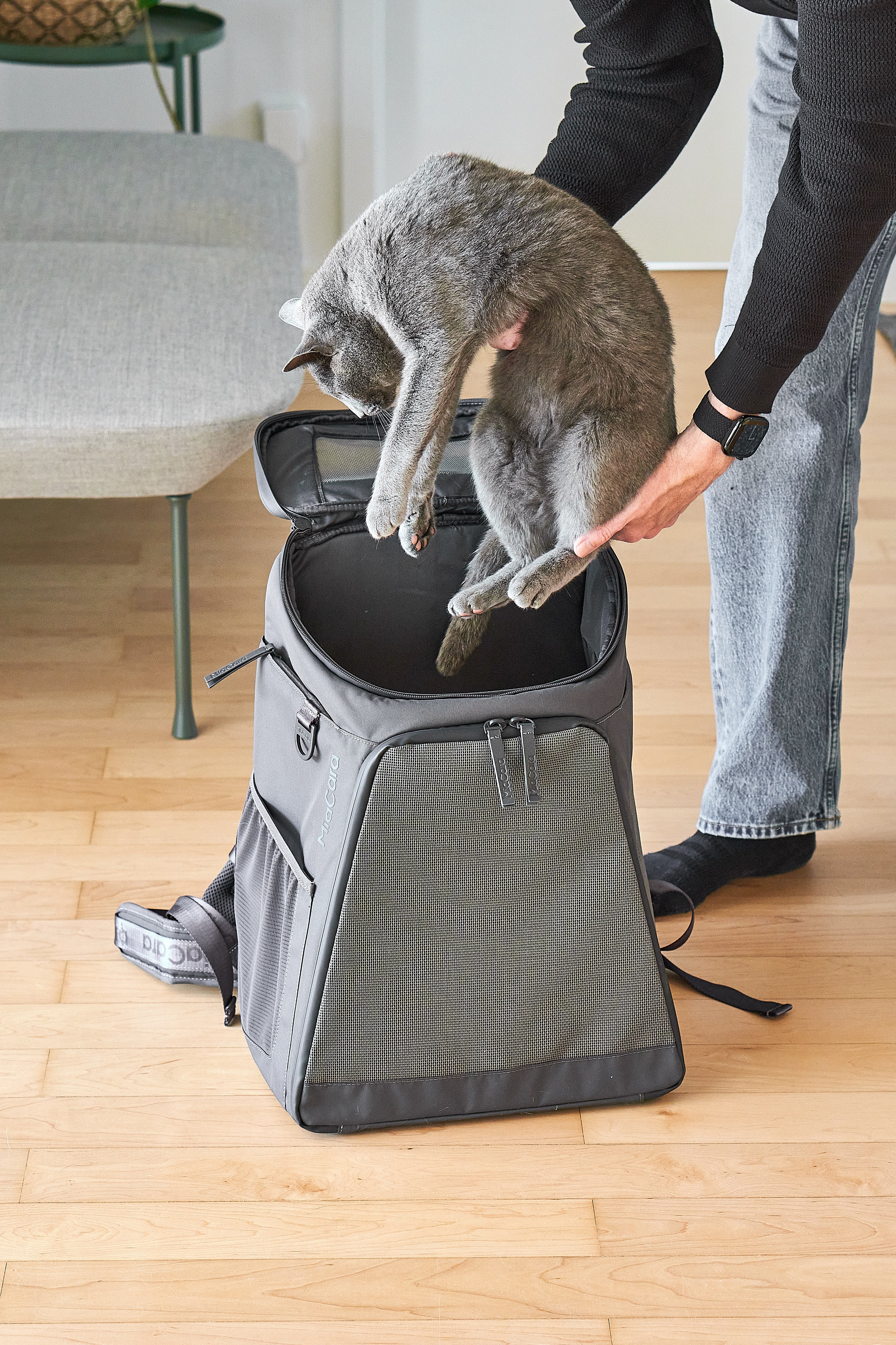 Zaino Cat Backpack - MiaCara