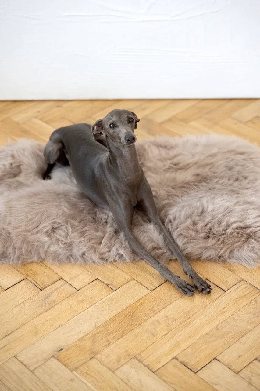 Natural Sheepskin Pet Mat - Greige