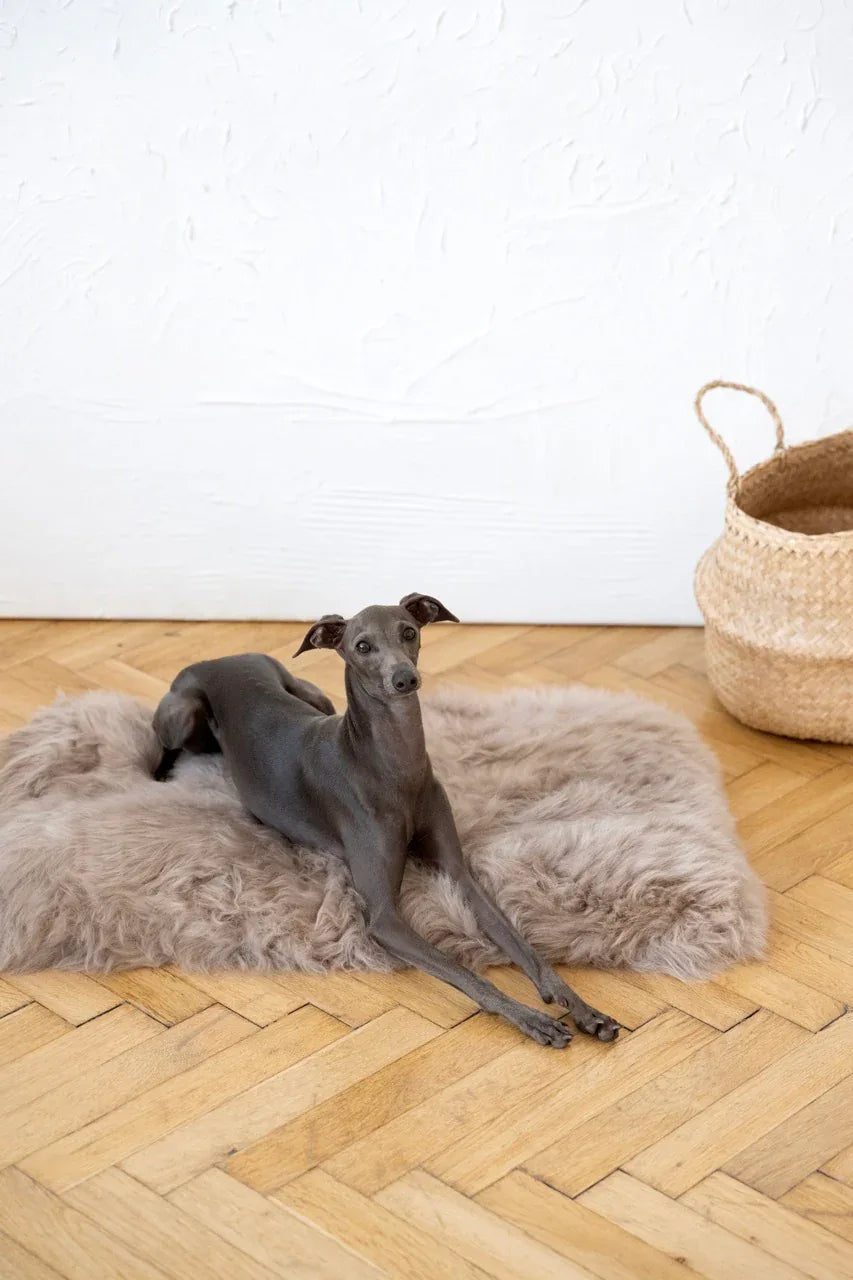 Natural Sheepskin Pet Mat - Greige