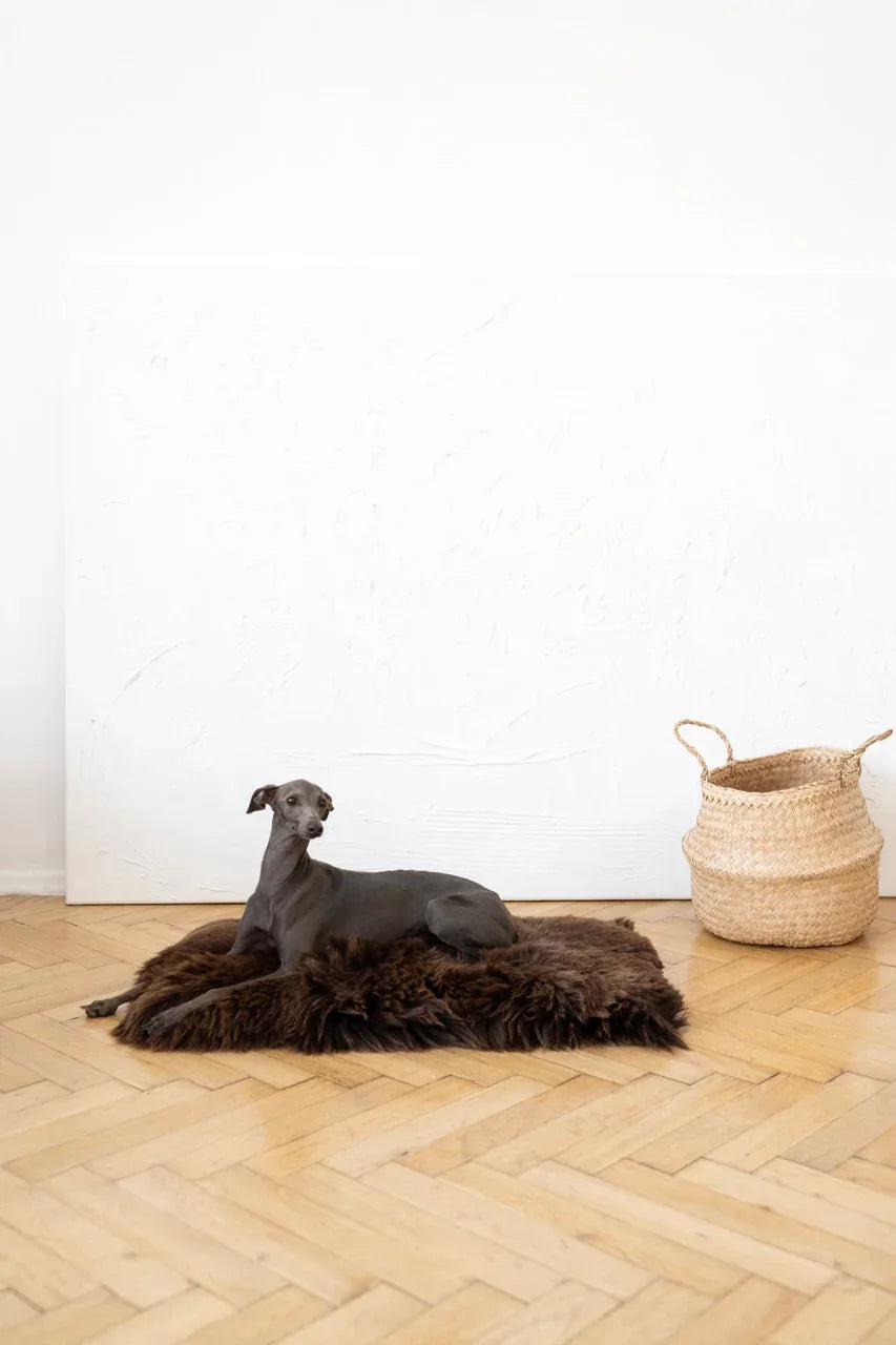 Natural Sheepskin Pet Mat - Brown