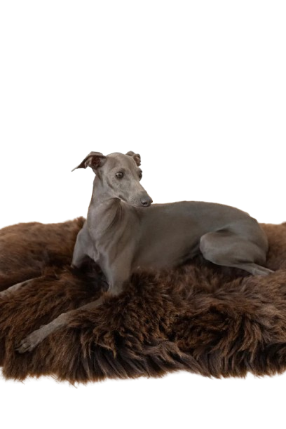 Natural Sheepskin Pet Mat - Brown