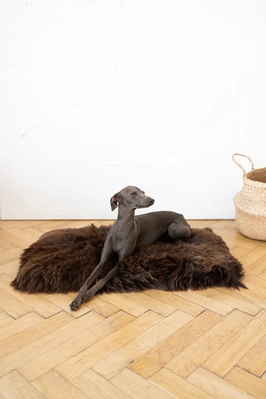 Natural Sheepskin Pet Mat - Brown