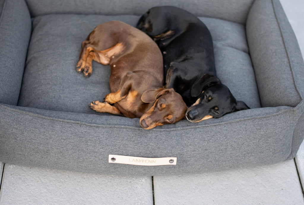 MØVIK Dog Bed