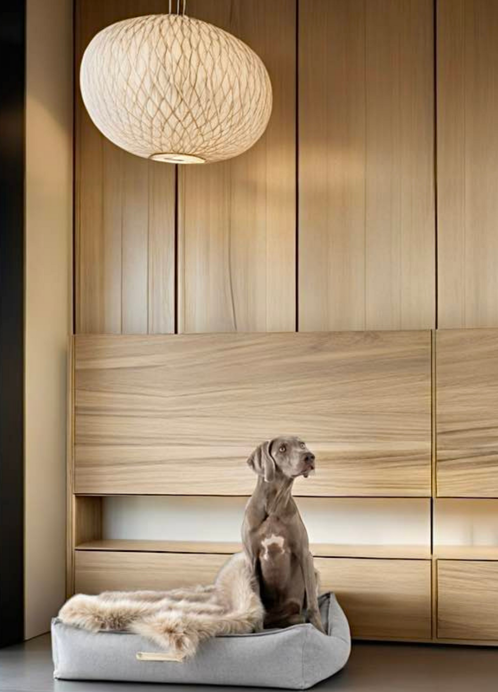 MØVIK Dog Bed