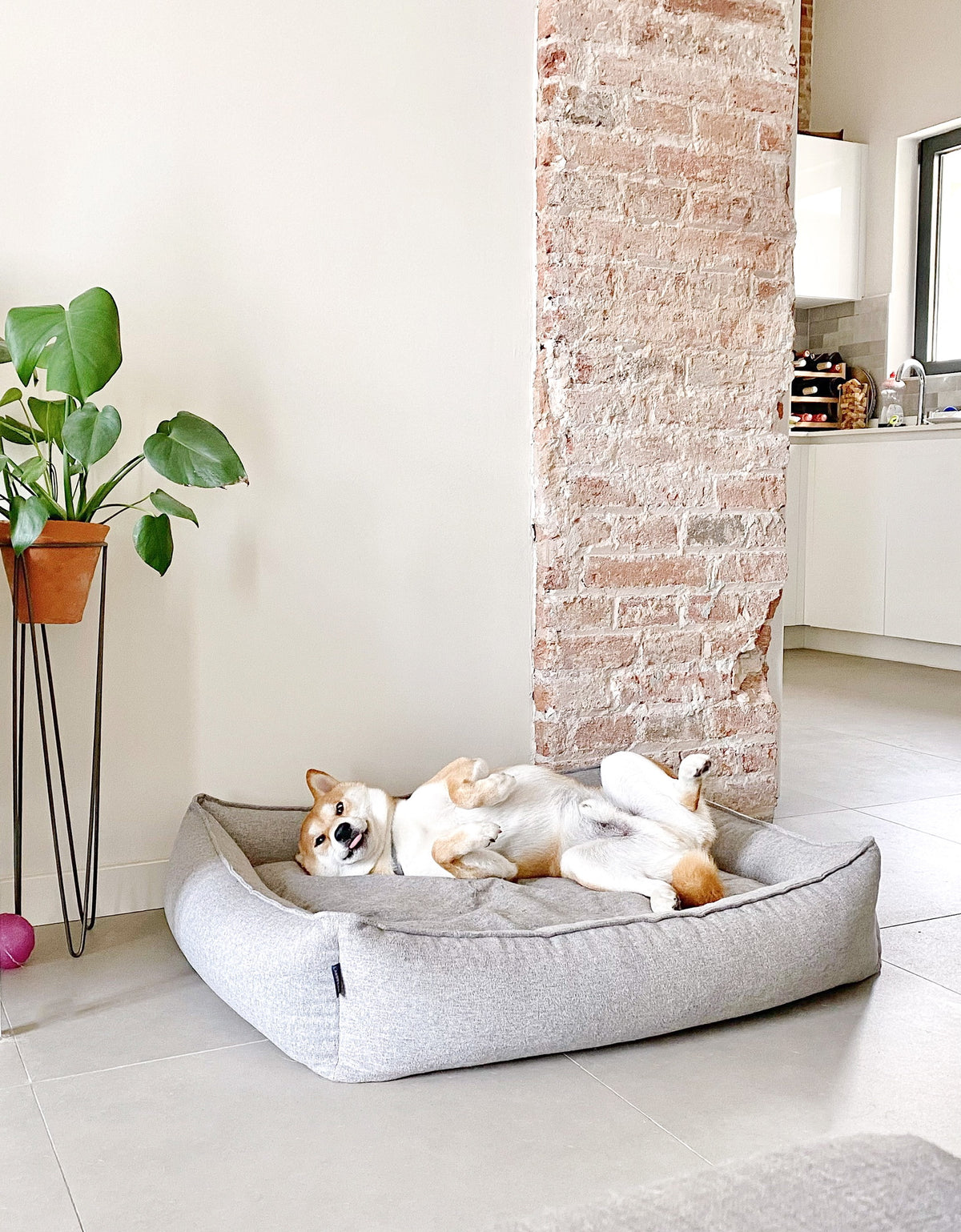 MØVIK Dog Bed