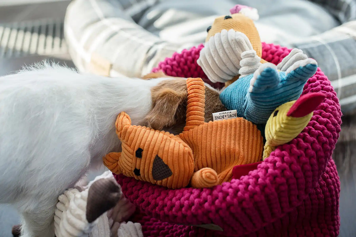 Cotton Toy Basket