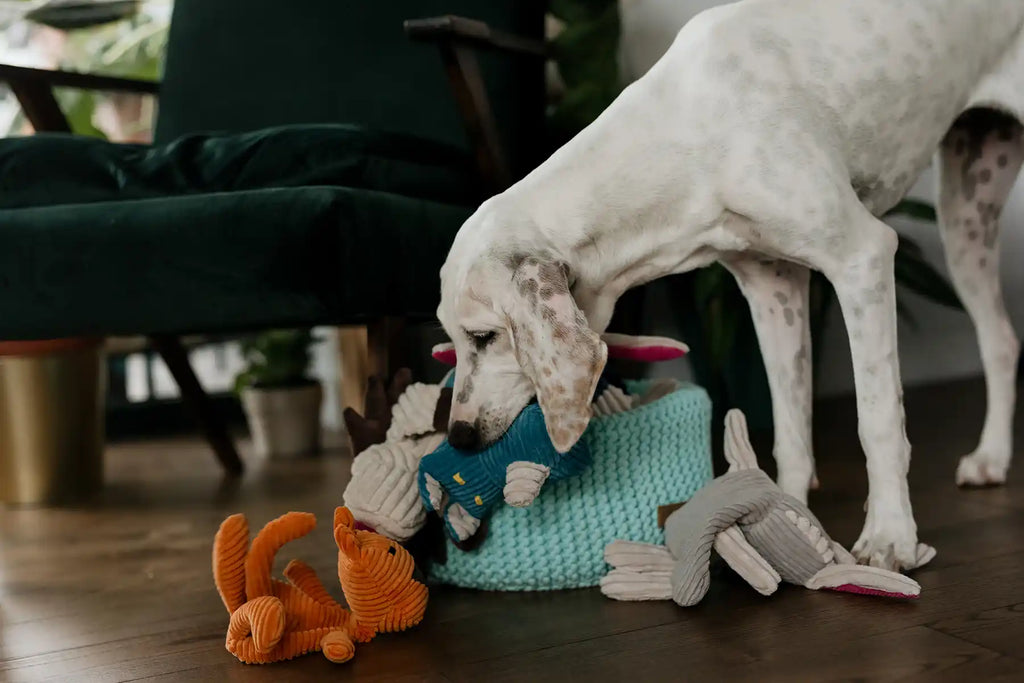 Cotton Toy Basket