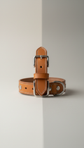 Italian Leather Collar With Brass Hardware