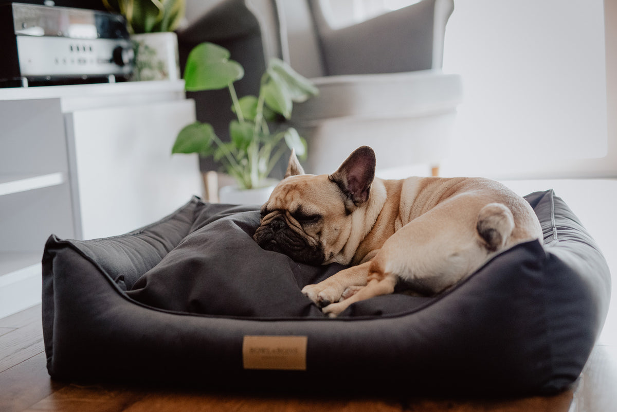 Classic Dog Bed