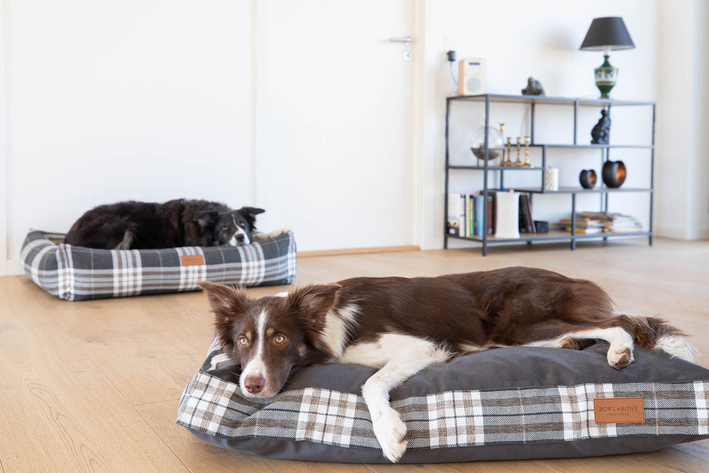 Scott Dog Bed