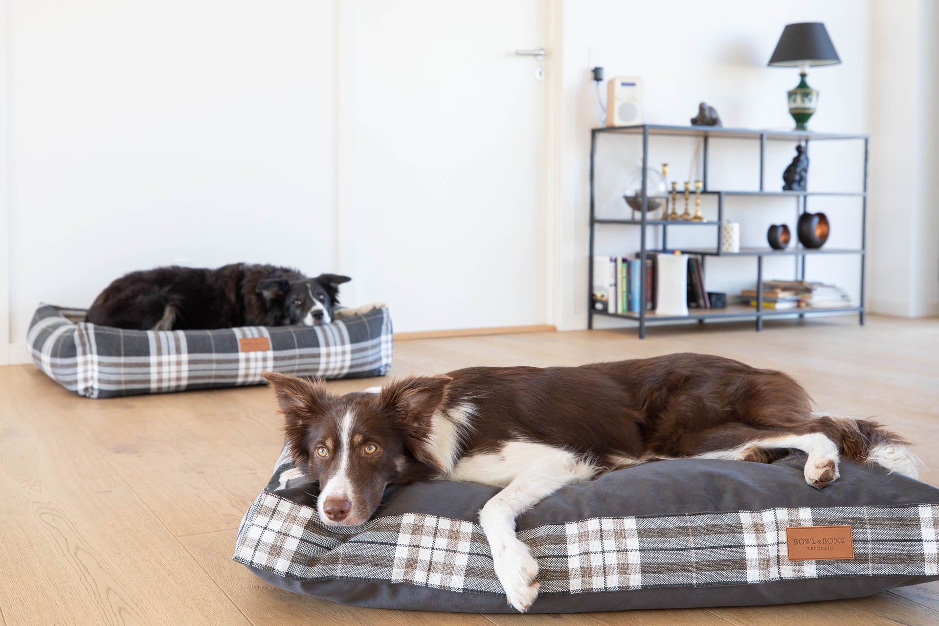 Scott Dog Bed