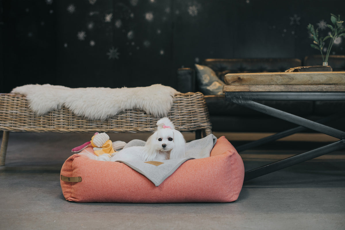 Zen Dog Blanket