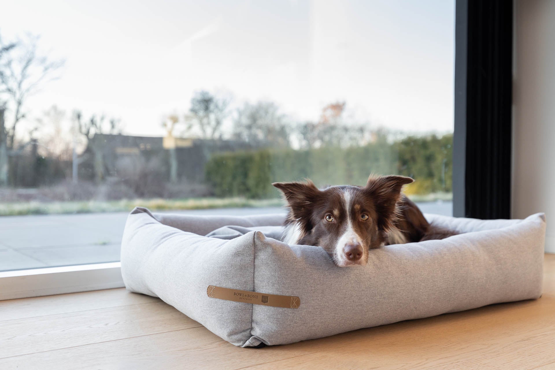 Loft Dog Bed