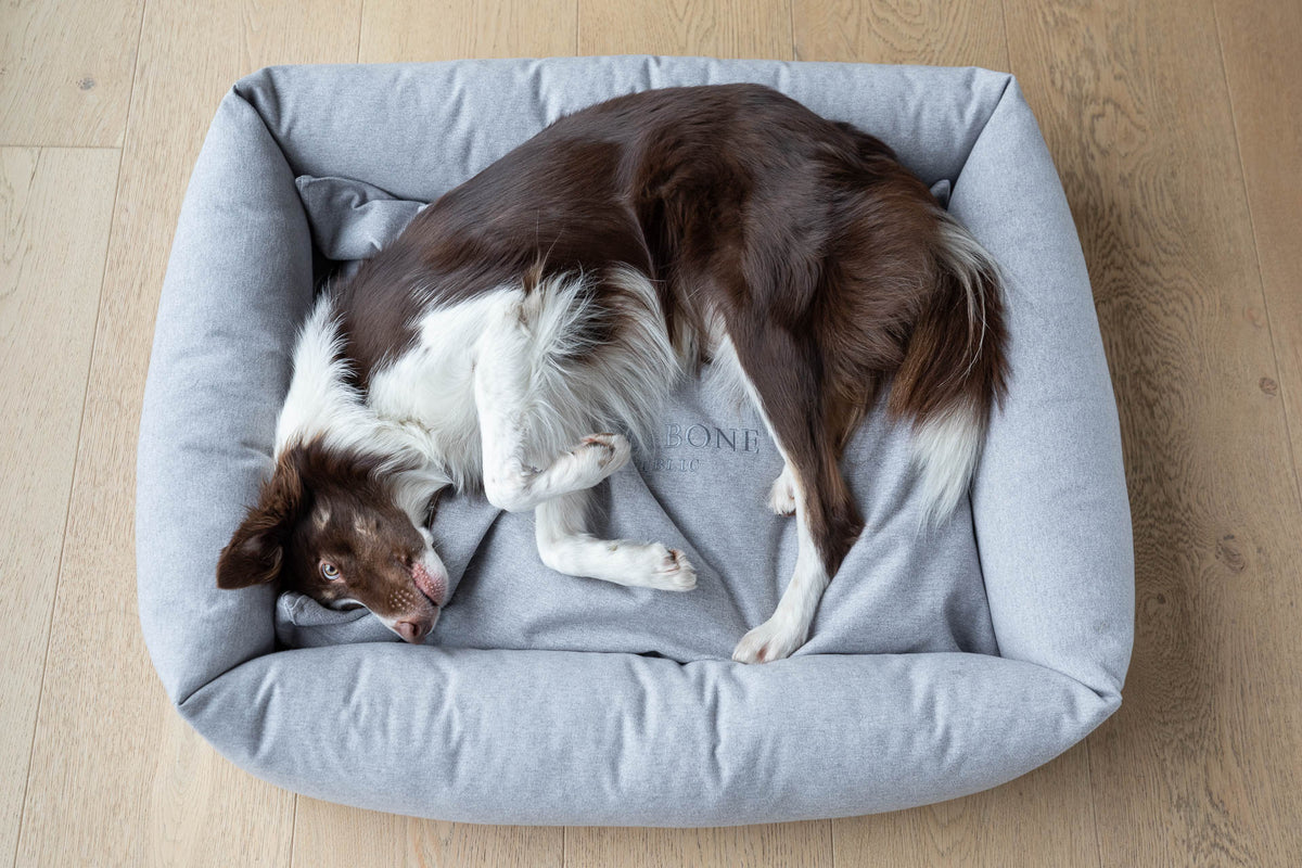 Loft Dog Bed