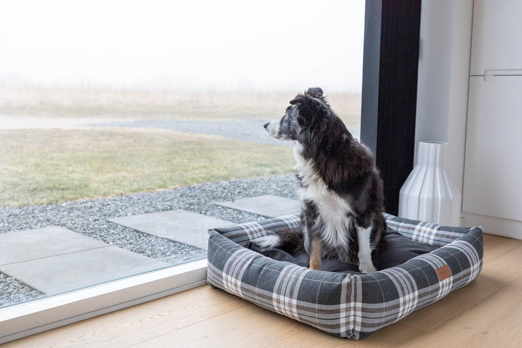 Scott Dog Bed