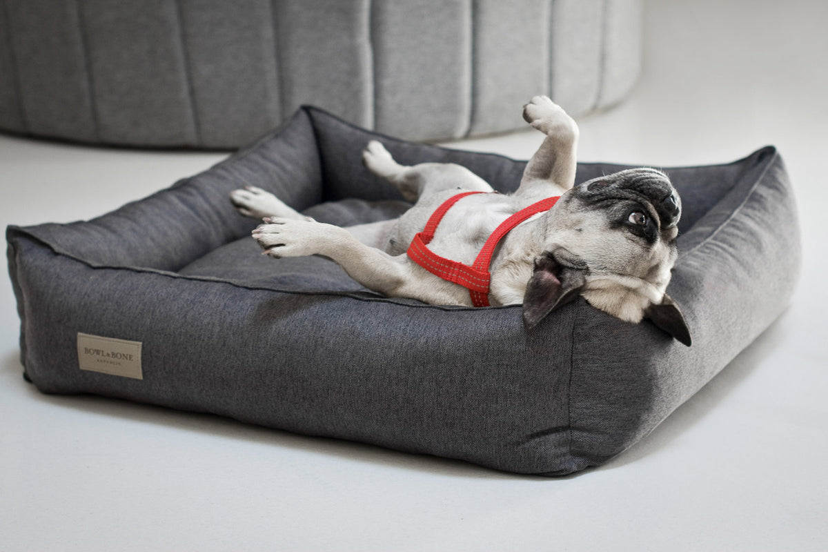Urban Dog Bed