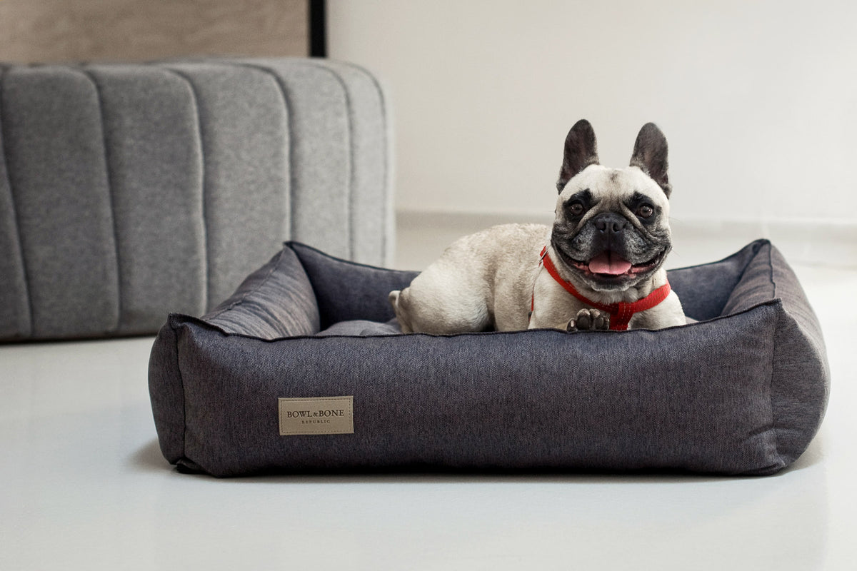 Urban Dog Bed