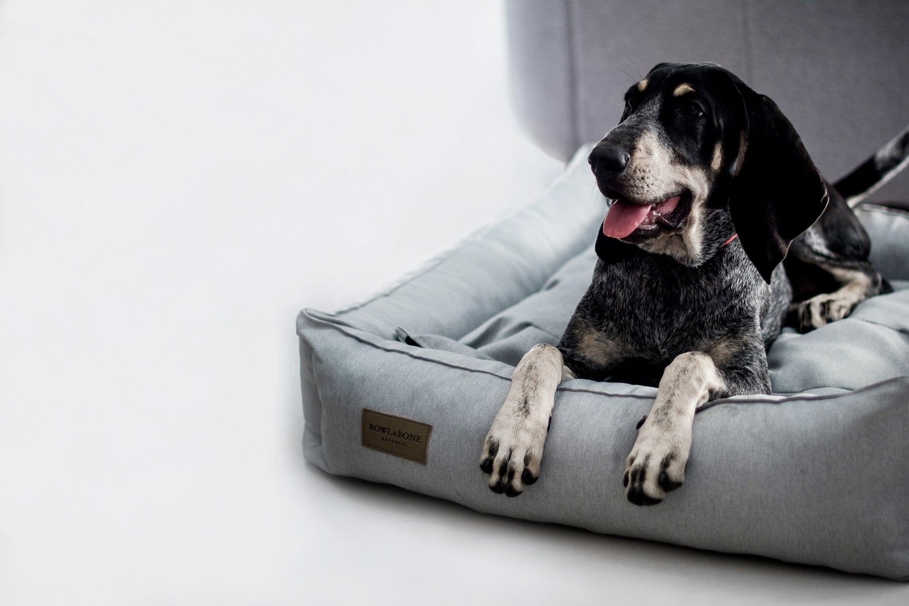 Urban Dog Bed