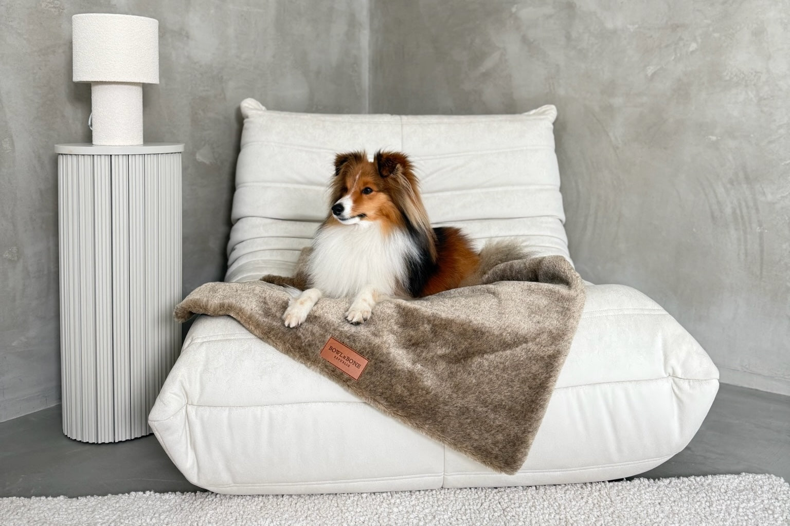 Nap Dog Blanket