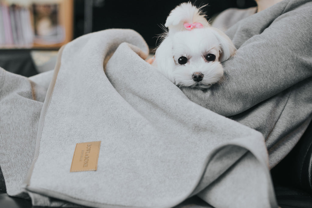 Zen Dog Blanket