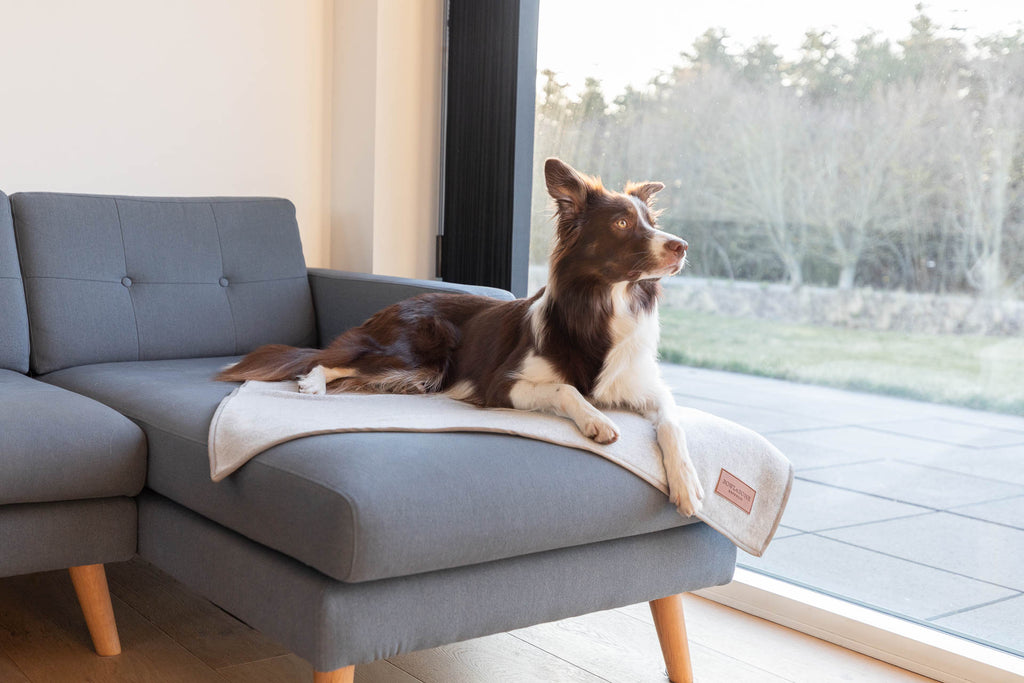 Zen Dog Blanket