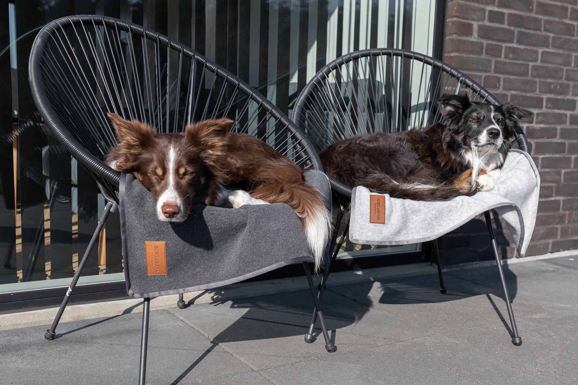 Zen Dog Blanket