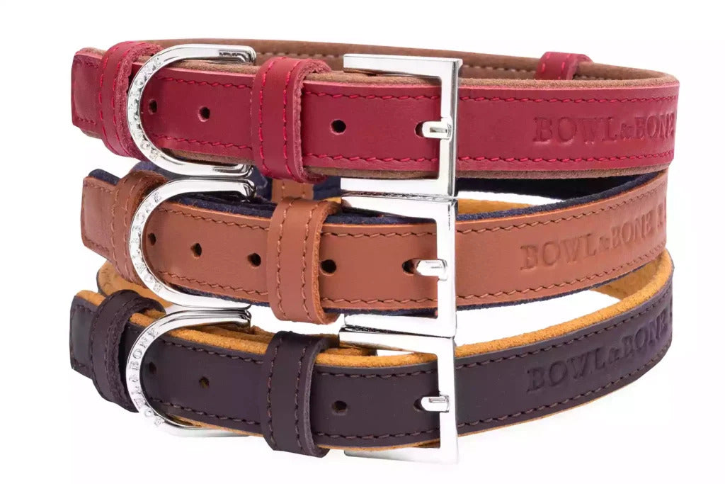 Monaco Dog Collar