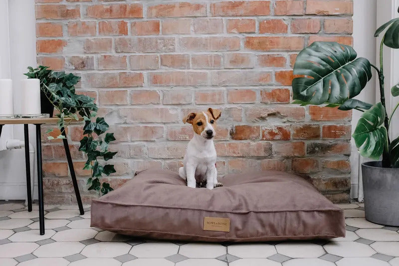 Classic Dog Cushion