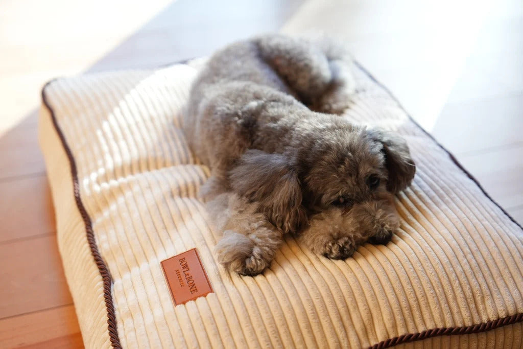 Deco Dog Cushion