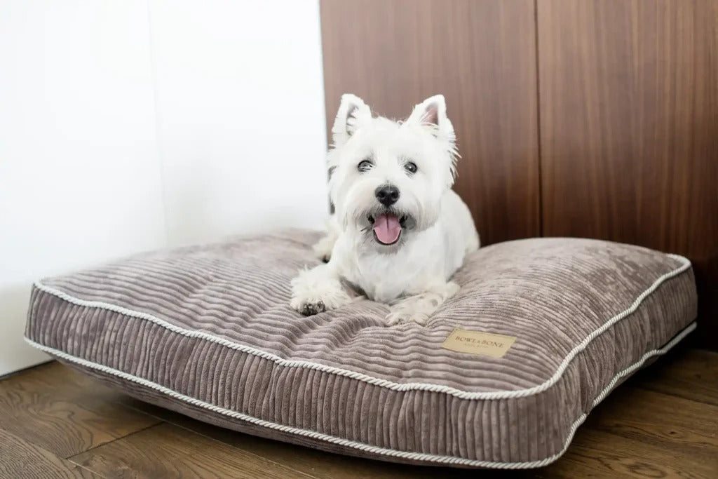 Deco Dog Cushion