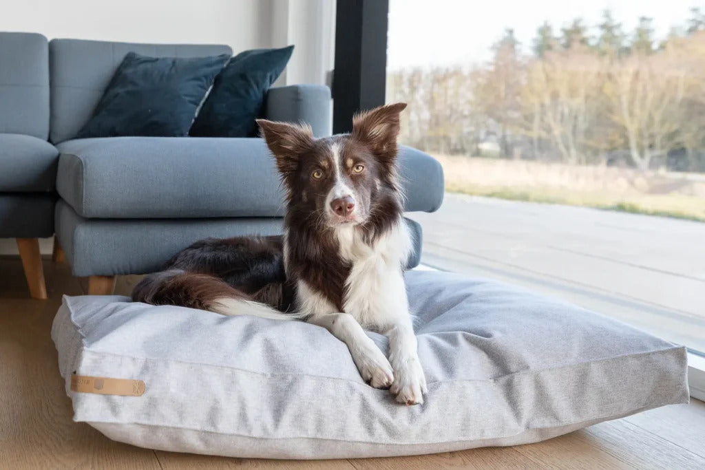 Loft Dog Cushion