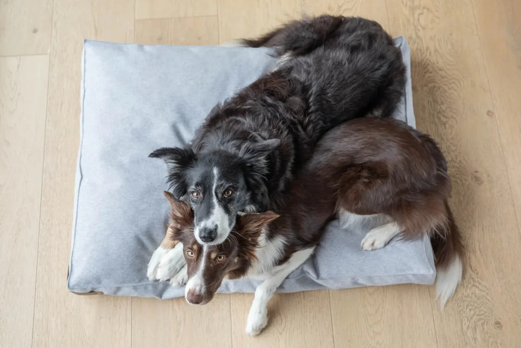 Loft Dog Cushion