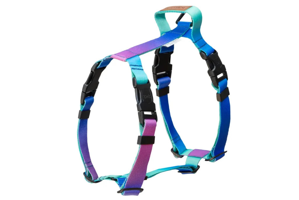 Gradient Dog Harness