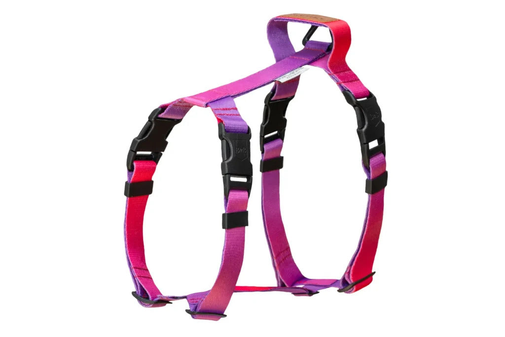 Gradient Dog Harness