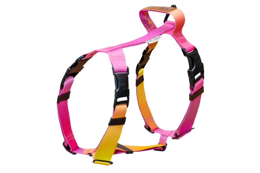 Gradient Dog Harness
