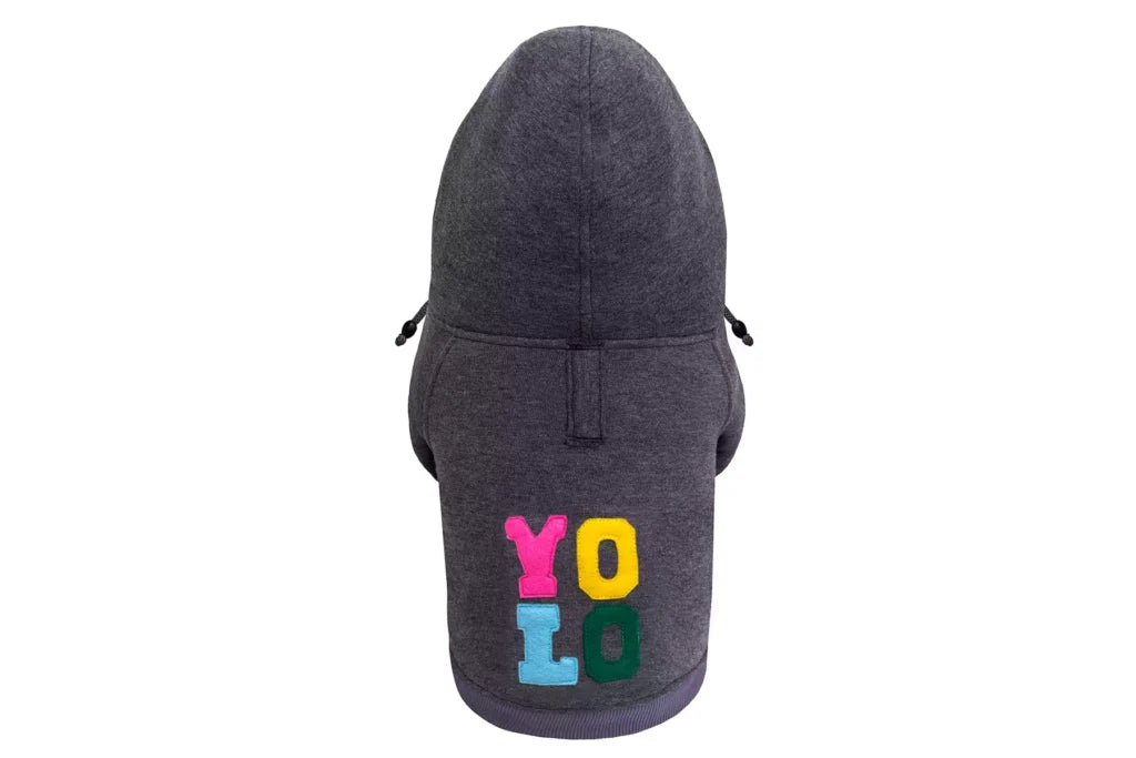 Yolo Dog Hoodie
