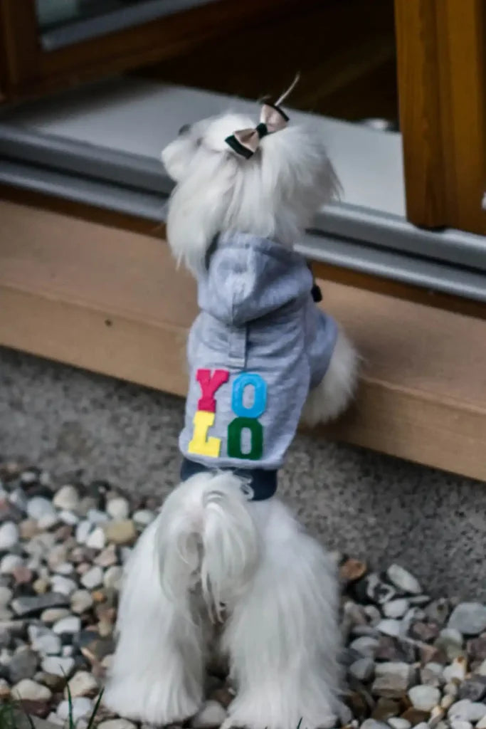 Yolo Dog Hoodie