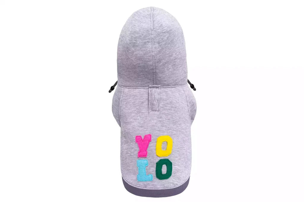 Yolo Dog Hoodie